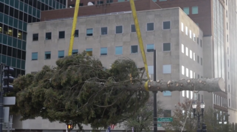 Christmas tree at the capitol being delivered