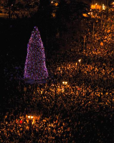 Holiday Tree