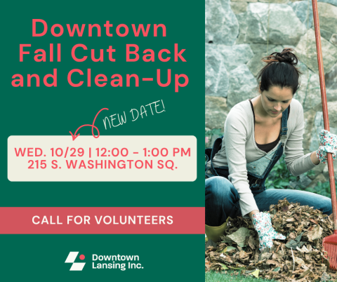 Call for Volunteers