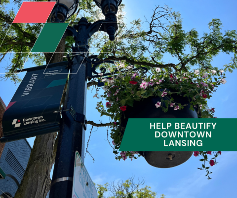 Hanging baskets