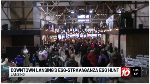 Eggs
