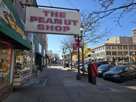Peanut shop