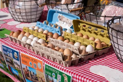 cartons of eggs for sale on a table at the farmers market