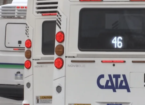 CATA buses