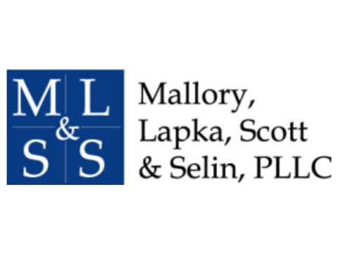 MLSS Logo